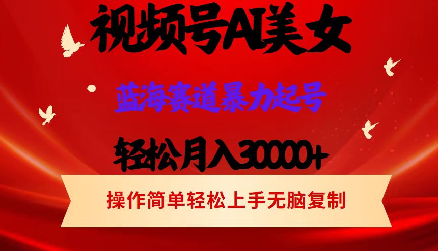 （12178期）视频号AI美女跳舞，轻松月入30000+，蓝海赛道，流量池巨大，起号猛，当…-个人设计资料分享