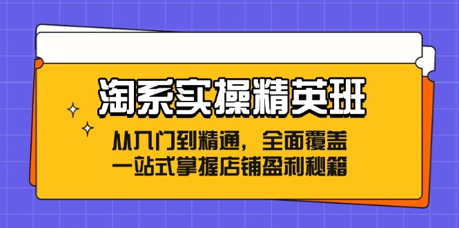 （12276期）淘系实操精英班：从入门到精通，全面覆盖，一站式掌握店铺盈利秘籍-个人设计资料分享