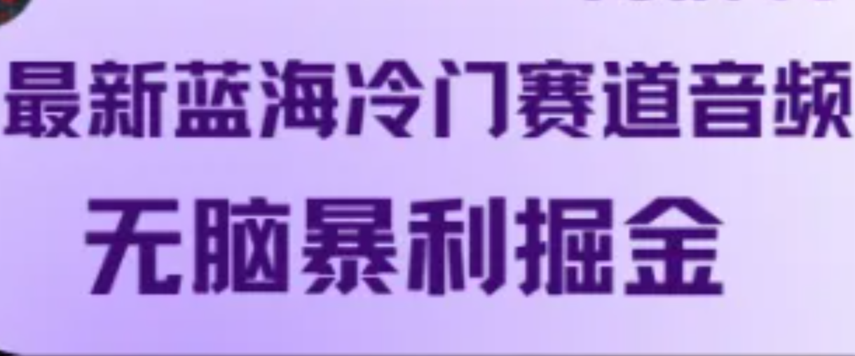 最新蓝海冷门赛道音频，无脑暴利掘金-个人设计资料分享