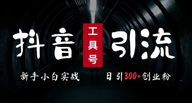 2024最新抖音工具号引流玩法，高效日引300+创业粉，当天变现5k，小白也可成为实战高手-个人设计资料分享