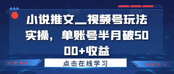 小说推文—视频号玩法实操，单账号半月破5000+收益-个人设计资料分享