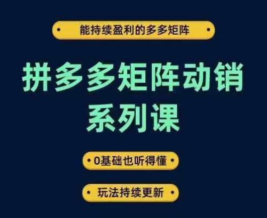 拼多多矩阵动销系列课，能持续盈利的多多矩阵，0基础也听得懂，玩法持续更新-个人设计资料分享