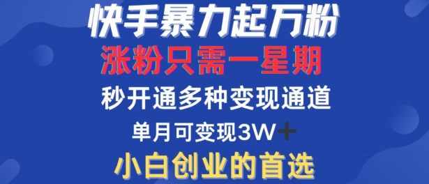 快手暴力起万粉，涨粉只需一星期，多种变现模式，直接秒开万合，单月变现过W【揭秘】-个人设计资料分享