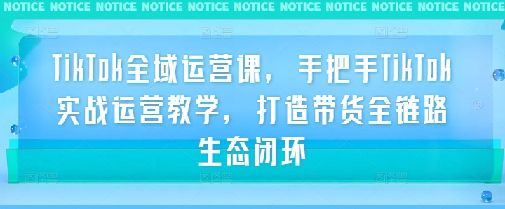 TikTok全域运营课，手把手TikTok实战运营教学，打造带货全链路生态闭环-个人设计资料分享