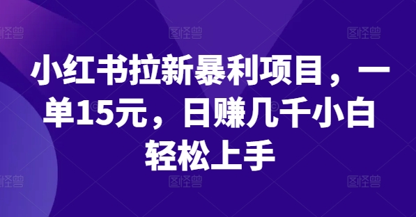 小红书拉新暴利项目，一单15元，日赚几千小白轻松上手-个人设计资料分享