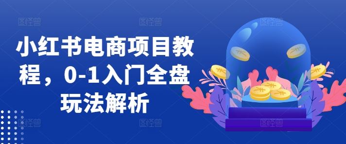 小红书电商项目教程，0-1入门全盘玩法解析-个人设计资料分享