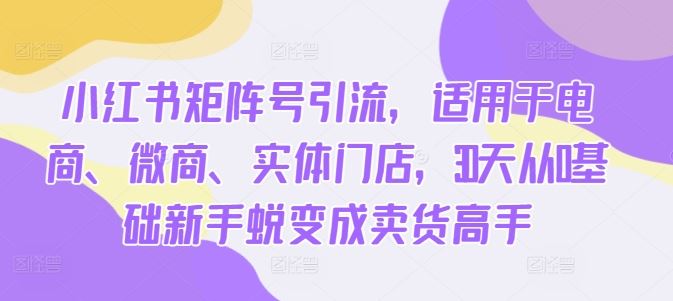 小红书矩阵号引流，适用于电商、微商、实体门店，30天从0基础新手蜕变成卖货高手-个人设计资料分享