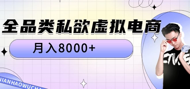 全品类私域虚拟电商 月入8000+保姆级教程-个人设计资料分享