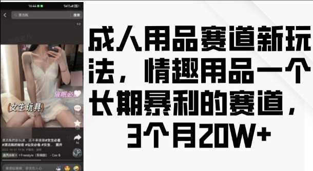 成人用品赛道新玩法，情趣用品一个长期暴利的赛道，3个月收益20个【揭秘】-个人设计资料分享