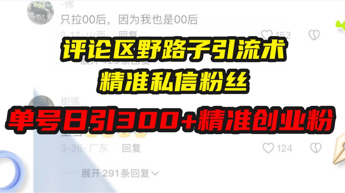 （13676期）评论区野路子引流术，精准私信粉丝，单号日引流300+精准创业粉-个人设计资料分享