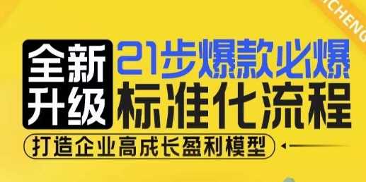 21步爆款必爆标准化流程，全新升级，打造企业高成长盈利模型-个人设计资料分享