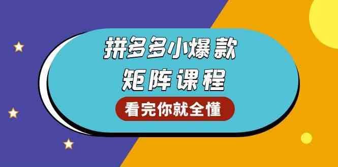 拼多多爆款矩阵课程：教你测出店铺爆款，优化销量，提升GMV，打造爆款群-个人设计资料分享