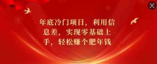 年底冷门项目，利用信息差，实现零基础上手，轻松赚个肥年钱【揭秘】-个人设计资料分享